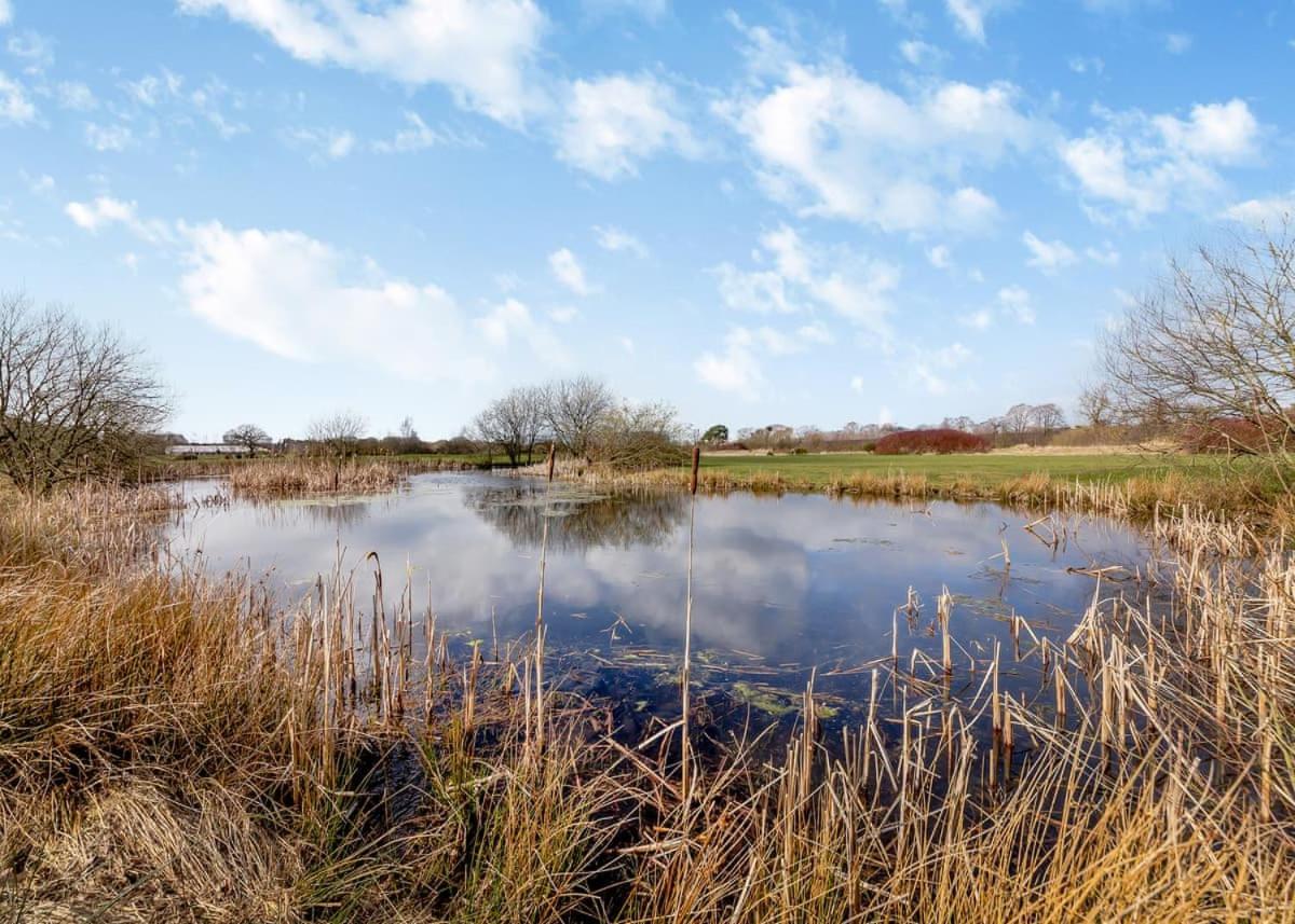 Eden Lodge Retreat Crosby  Exteriér fotografie